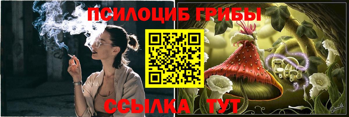 Псилоцибиновые грибы MAGIC MUSHROOMS Новошахтинск