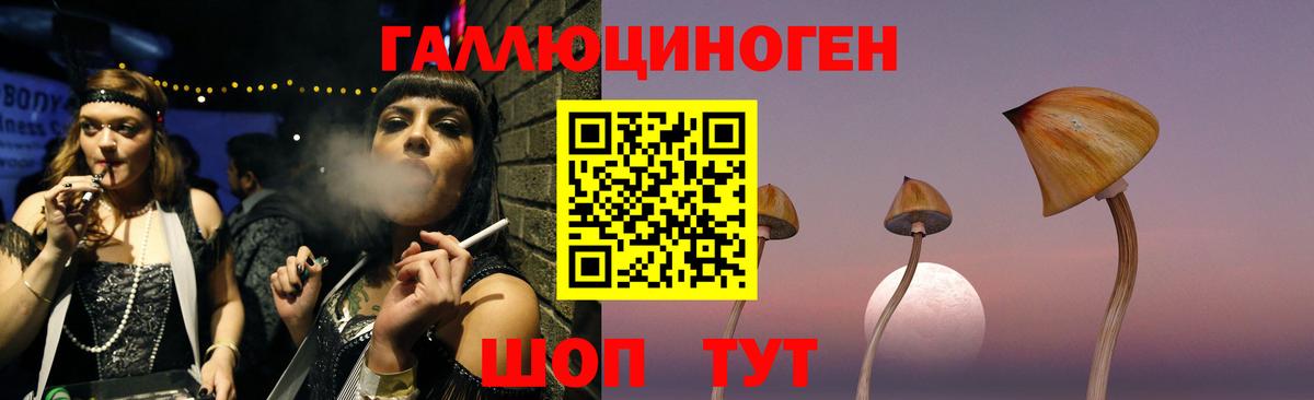 Псилоцибиновые грибы прущие грибы  Вход с VPN  Новошахтинск 
